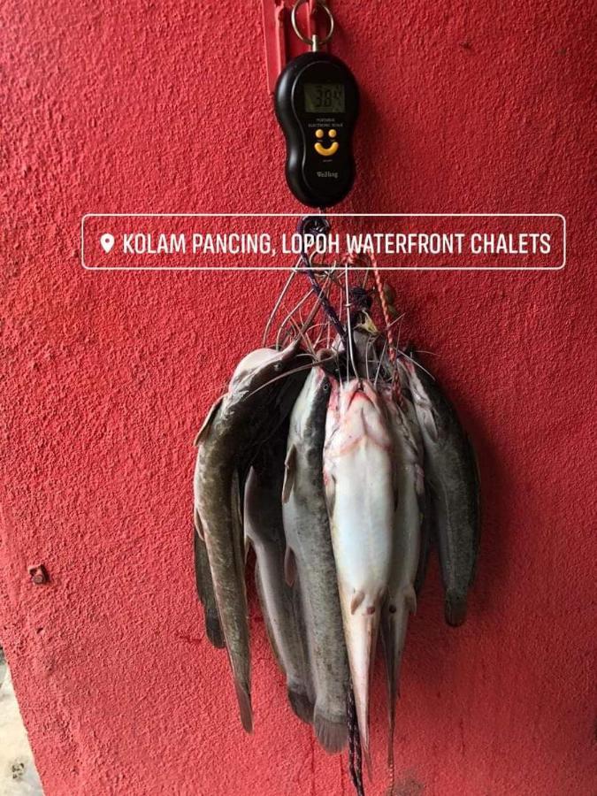 Lopoh Waterfront Budget Chalets Villa Hulu Langat Kültér fotó