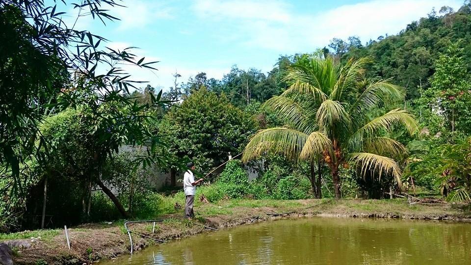 Lopoh Waterfront Budget Chalets Villa Hulu Langat Kültér fotó
