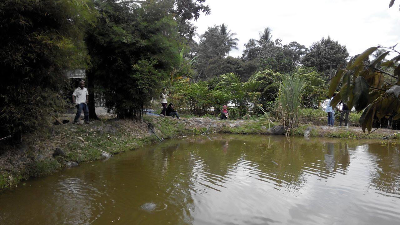Lopoh Waterfront Budget Chalets Villa Hulu Langat Kültér fotó